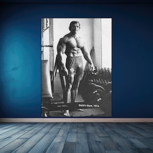 Poster della palestra d'oro di Arnold Schwarzenegger del 1974, bodybuilding, vecchia scuola, epoca d'oro