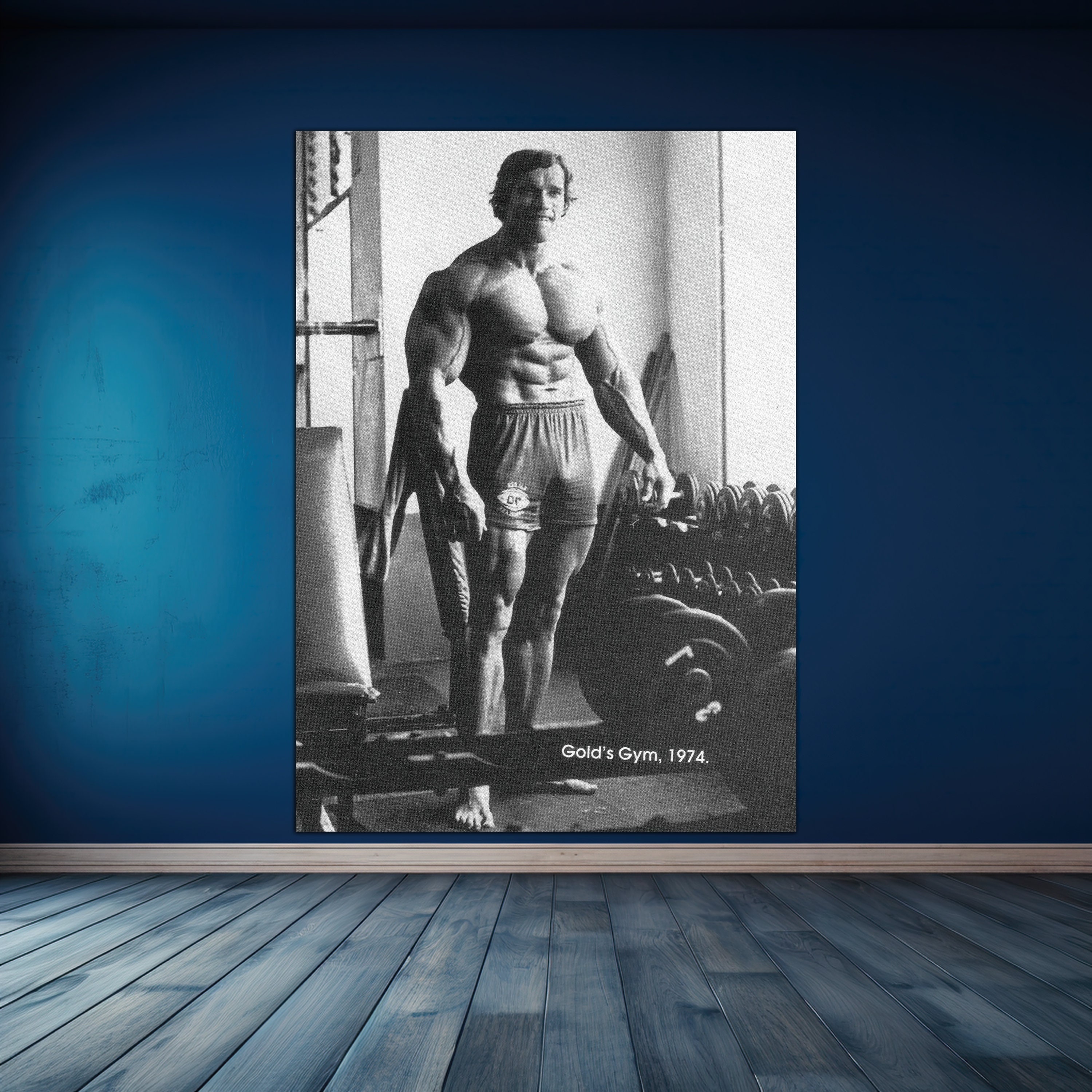 Arnold Schwarzenegger Gold s Gym 1974 Poster Bodybuilding Old School Golden Era Etsy UK