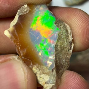 May include: A raw, unpolished opal gemstone featuring a translucent, amber-colored base with a vibrant, multi-colored play-of-color displaying intense flashes of neon green, yellow, and orange across its irregular, textured surface.
