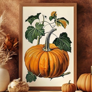 Pompoen rustieke oogst poster 2, vintage botanisch artwork retro oud boek illustratie herfst print set aardse herfst rustiek grillig decor