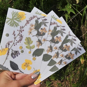 Carte postale - fleurs séchées - composition florale - fait main - artisanat - 15,1 cm x 10,8 cm - papier recyclé