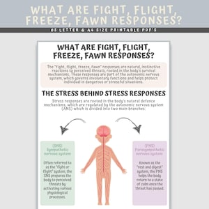 What Are Fight, Flight, Freeze, Fawn, Responses Printable, Stress ...