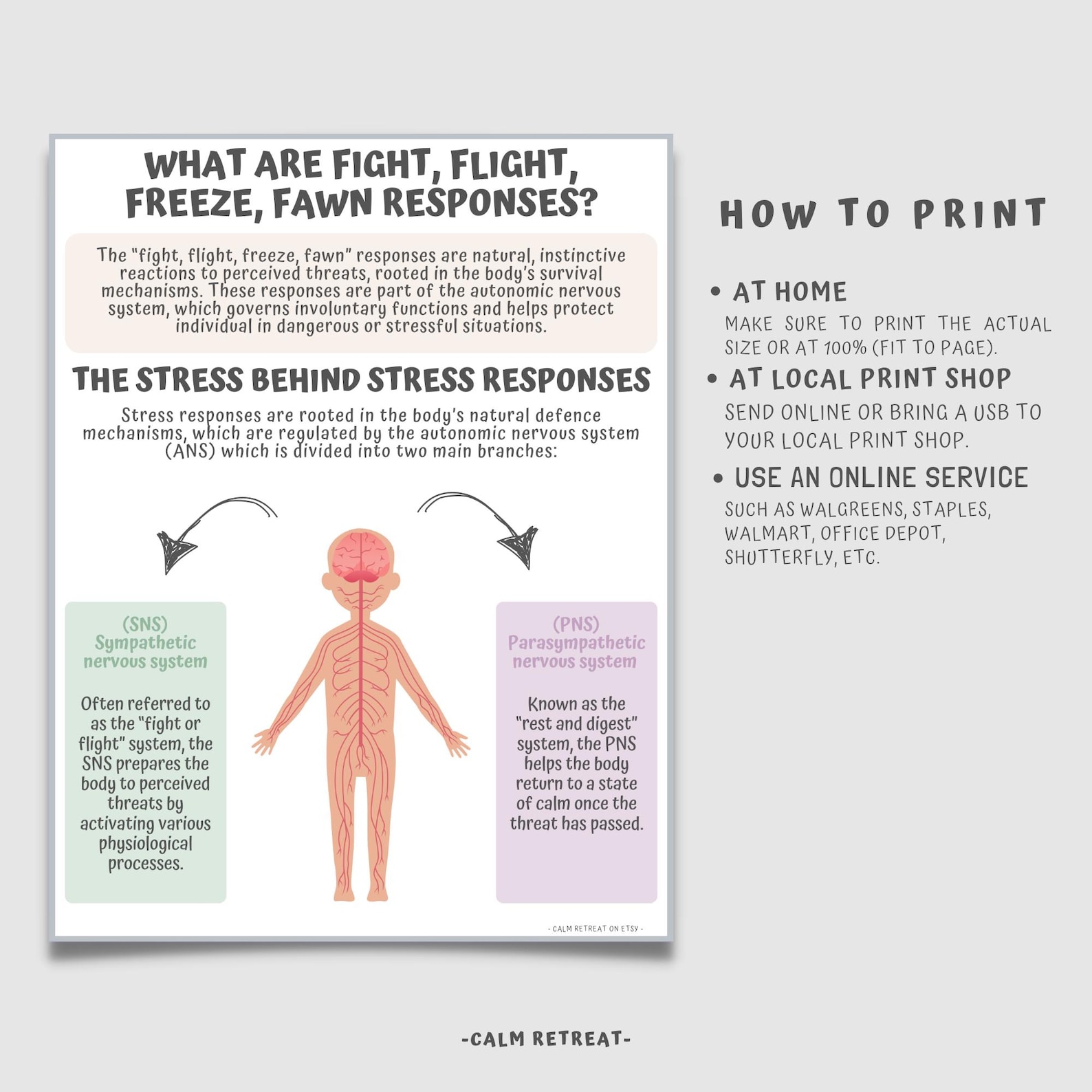 What Are Fight, Flight, Freeze, Fawn, Responses Printable, Stress ...