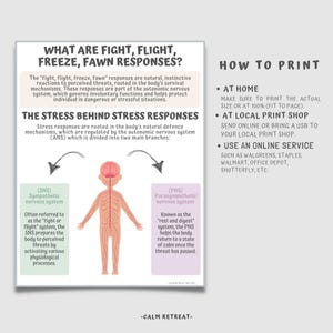 What Are Fight, Flight, Freeze, Fawn, Responses Printable, Stress ...