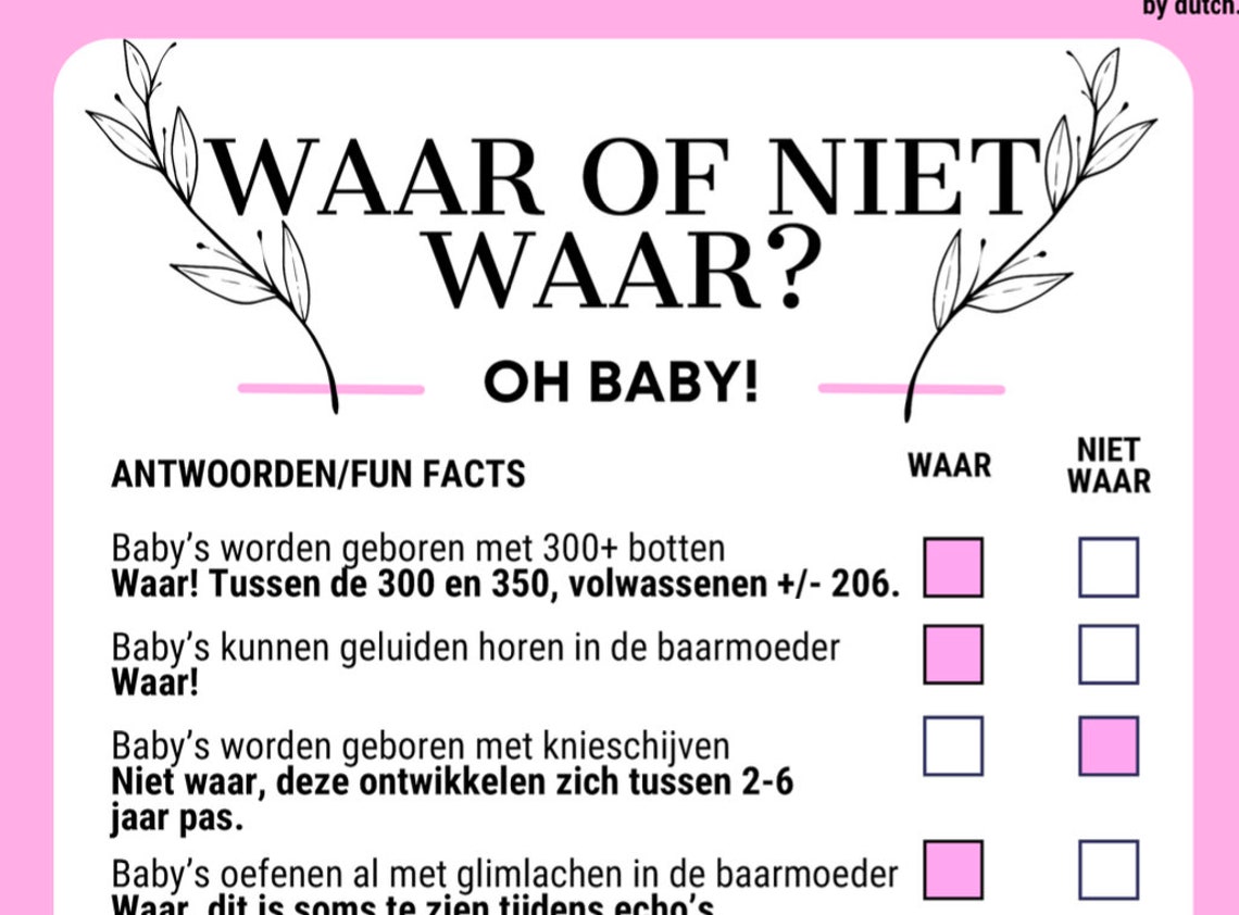 Baby Shower Waar/niet Waar Spel in Het Nederlands Inclusief Antwoorden