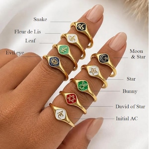 May include: A collection of gold-toned signet rings featuring colorful enamel inlays with various symbols including a snake, fleur-de-lis, leaf, evil eye, moon and star, star, bunny, Star of David, and the initial AC, each labeled with its respective name.