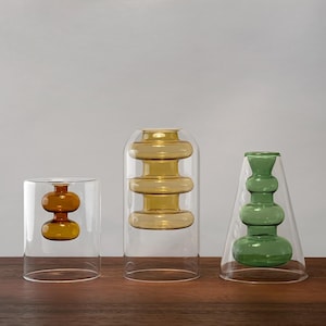 Vase hydroponique moderne à double paroi avec verre transparent et coloré