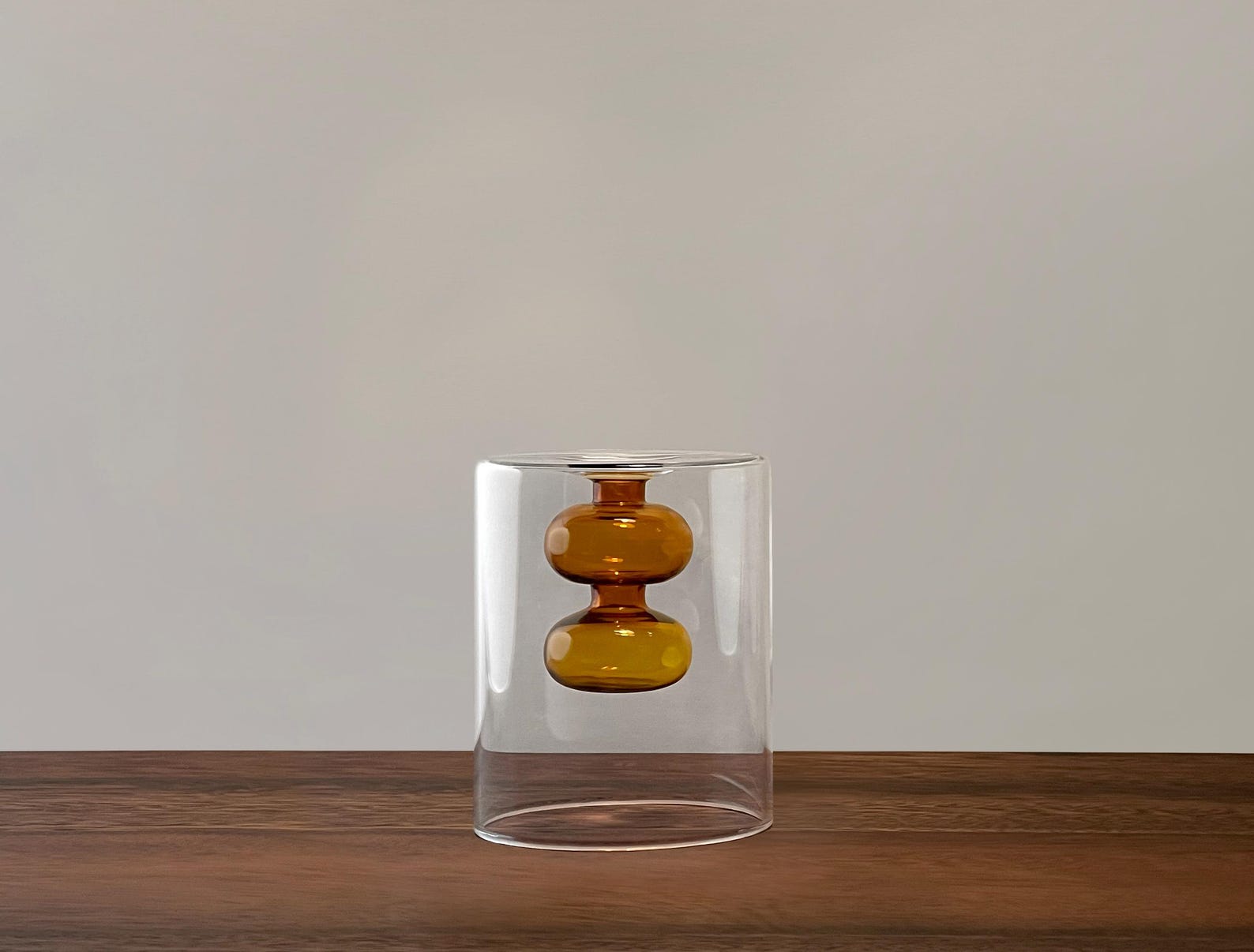 Modern Double-walled Hydroponic Vase With Transparent and Colored Glass ...