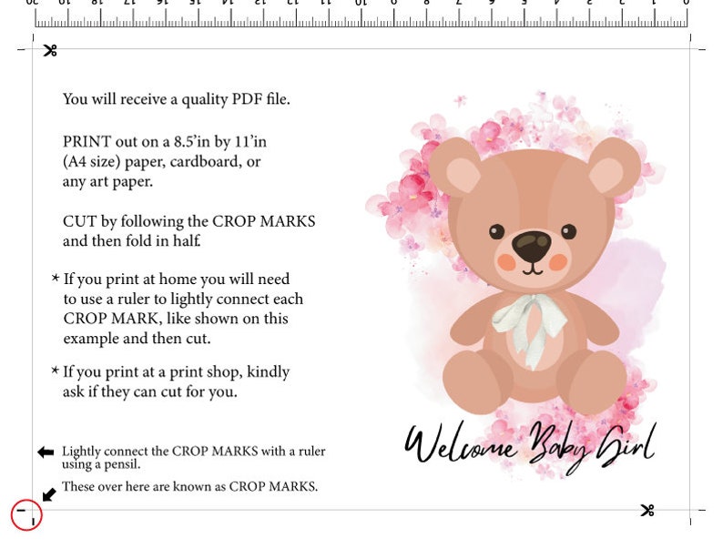 Welcome Baby Girl Card, Digital Download, Welcome Card, Printable Card ...