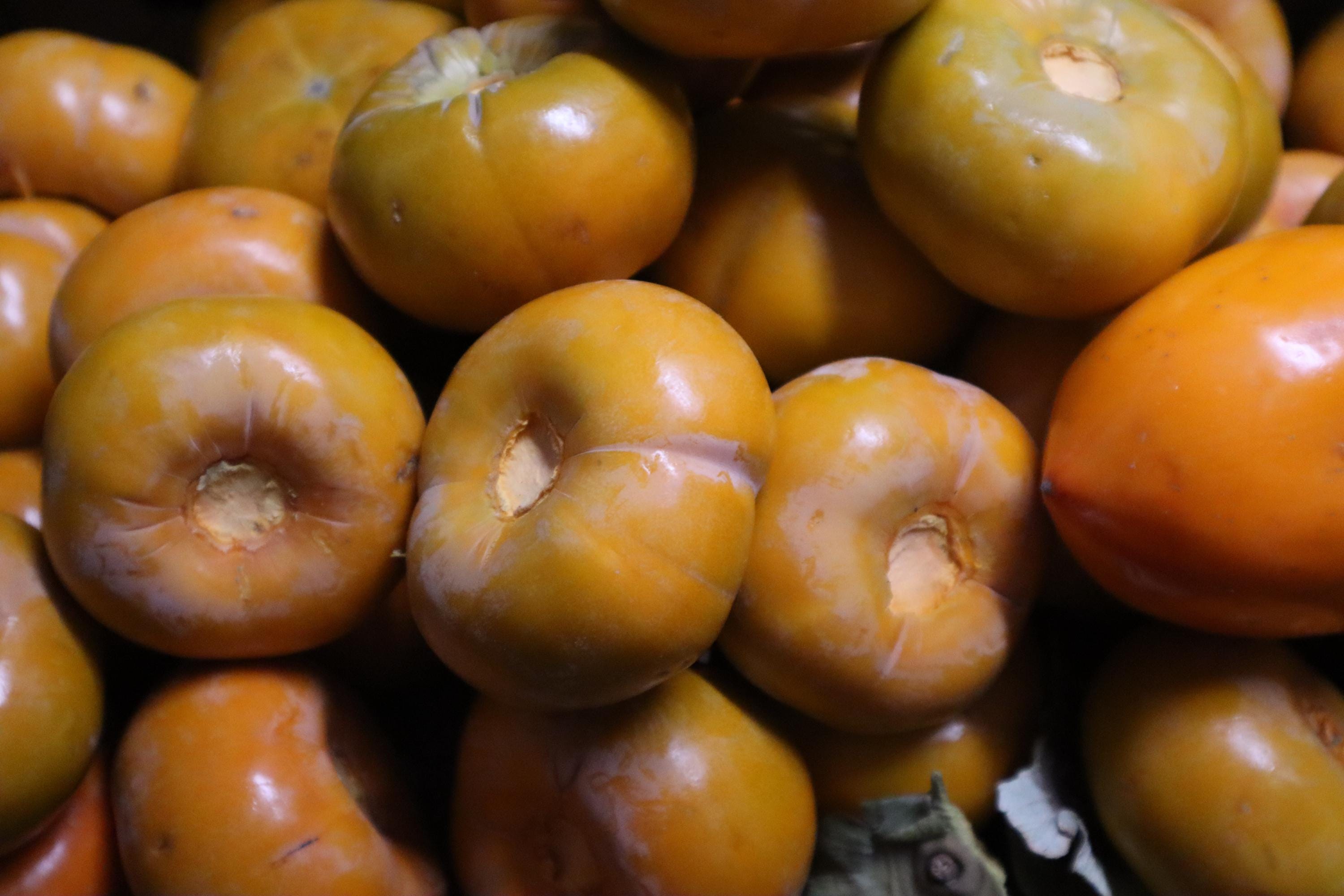 Freeze Dried Fuyu Persimmons for Snacking or Baking - Etsy