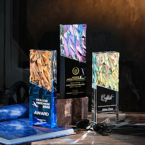 Custom Award, Add Logo, Custom Background, Free Design, Employee Award, Achievement Award, Business Award,  Crystal Trophy