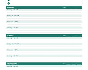Paquete imprimible para principiantes en la vida adulta / Planificador semanal / Seguimiento del presupuesto / Lista de tareas de limpieza / Organizador para el primer apartamento / Paquete de planificación de vida
