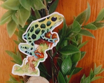 Frog Sticker