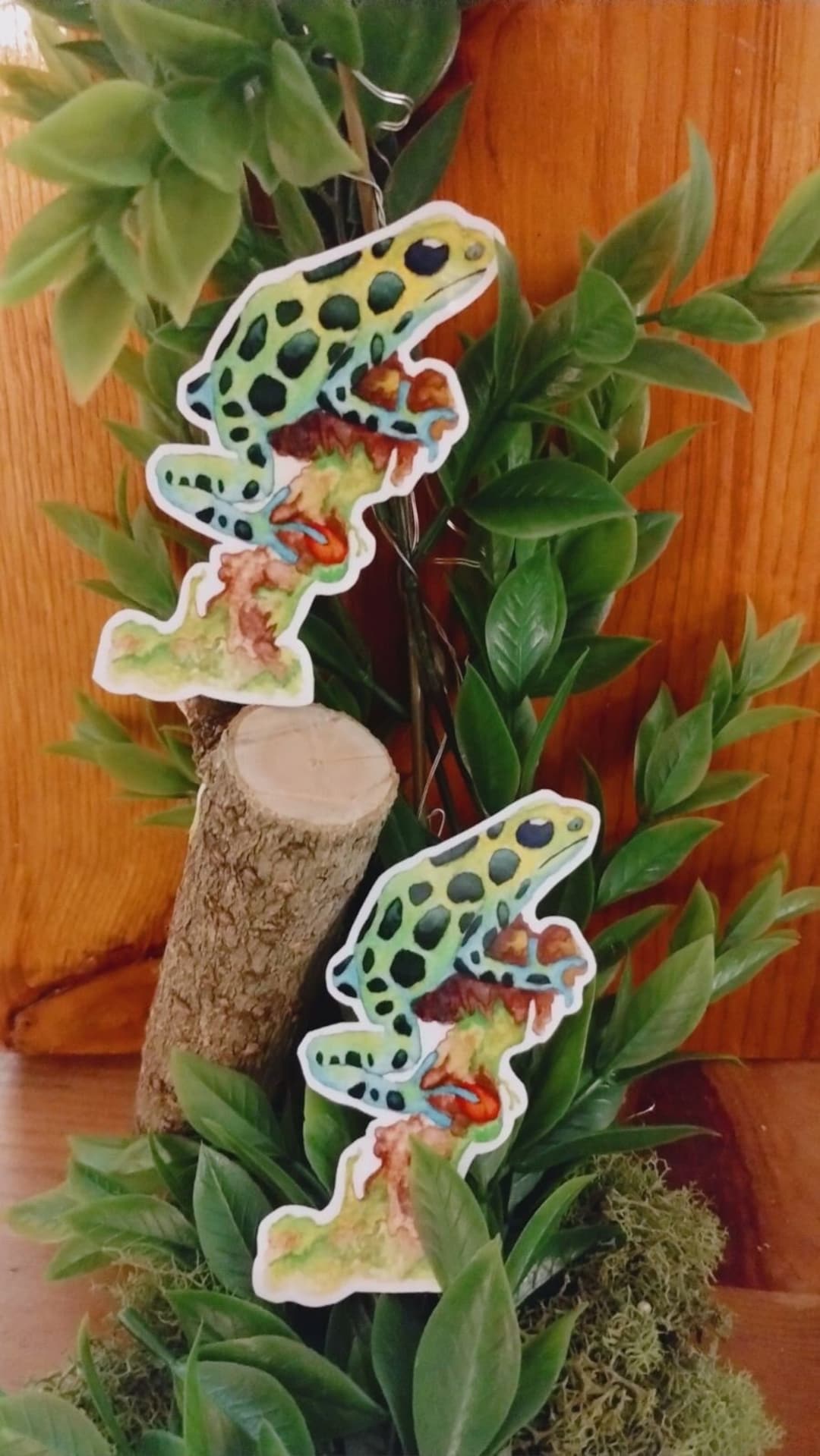 Frog Sticker - Etsy