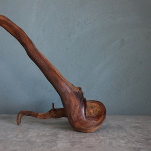 The Knot