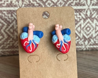 Anatomical Heart Earrings