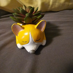 Ceramic Dog planter