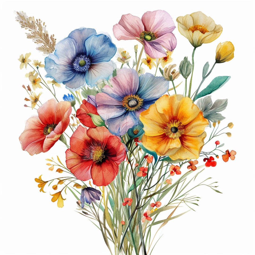 Watercolor, Clip Art, Wildflowers, PNG, Wall Posters, Nice Gift, Home