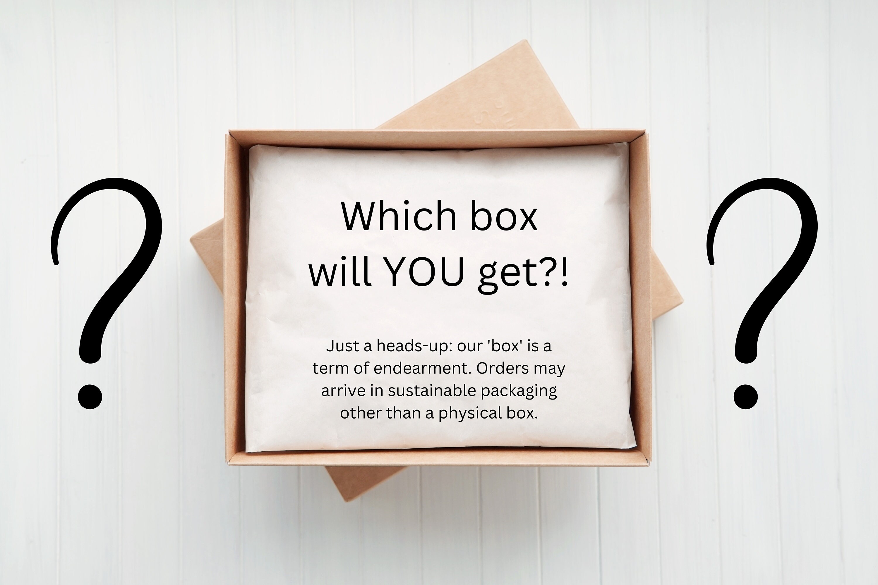 Mystery Box for Kids, Mystery Box Clothing, Mystery Box Halloween