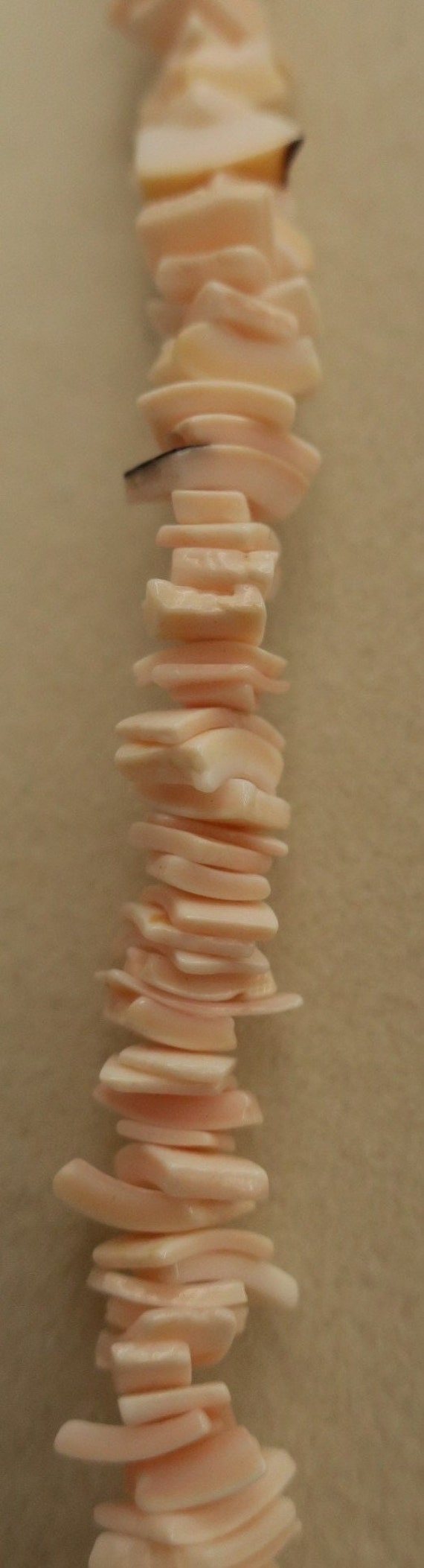 Vintage Hawaiian Chipped Sea Shell Necklace - image 3