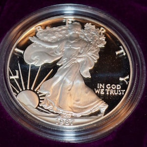 May include: A silver coin featuring a walking Lady Liberty design, holding branches and draped in flowing robes. The coin is encased in a clear plastic holder. The text "IN GOD WE TRUST" and the year "1987" are visible.