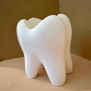 Tooth Toothbrush Holder