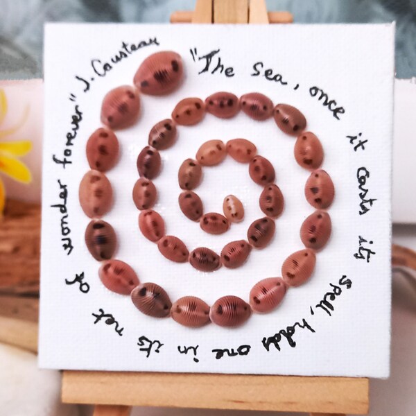 SEA SPIRAL with MESSAGE: lovely small trivia monacha shells, cowrie shells or coffee beans from the Atlantic beaches.