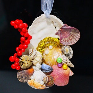 Large abalone shell with sea acorns on its back. Christmas decorations. Natural shells. Bivalves. Decoration. Christmas. Sea. Ornaments.
