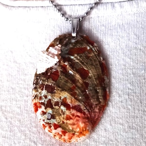 Natural abalone and white seashell necklace: Seashells. A unique and exclusive handmade necklace. Artisan jewelry, a charming gift.