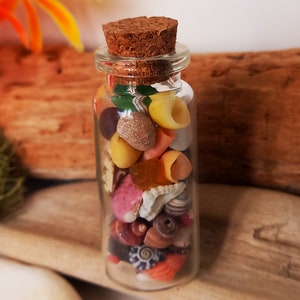 Puede incluir: Una pequeña botella de vidrio llena de una variedad de conchas marinas de colores y otros objetos pequeños. La botella tiene un tapón de corcho y está sentada sobre una superficie de madera.