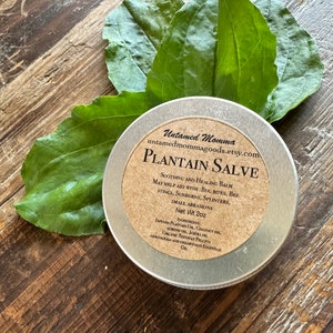 May include: A small, silver tin of plantain salve with a brown label that reads "Untamed Momma plantain salve" and lists ingredients and uses. The tin is sitting on a wooden surface with green leaves.