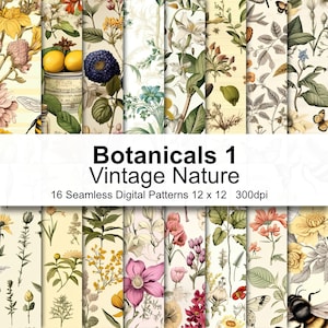 Vintage Natur Botanisches Digital Papier 1