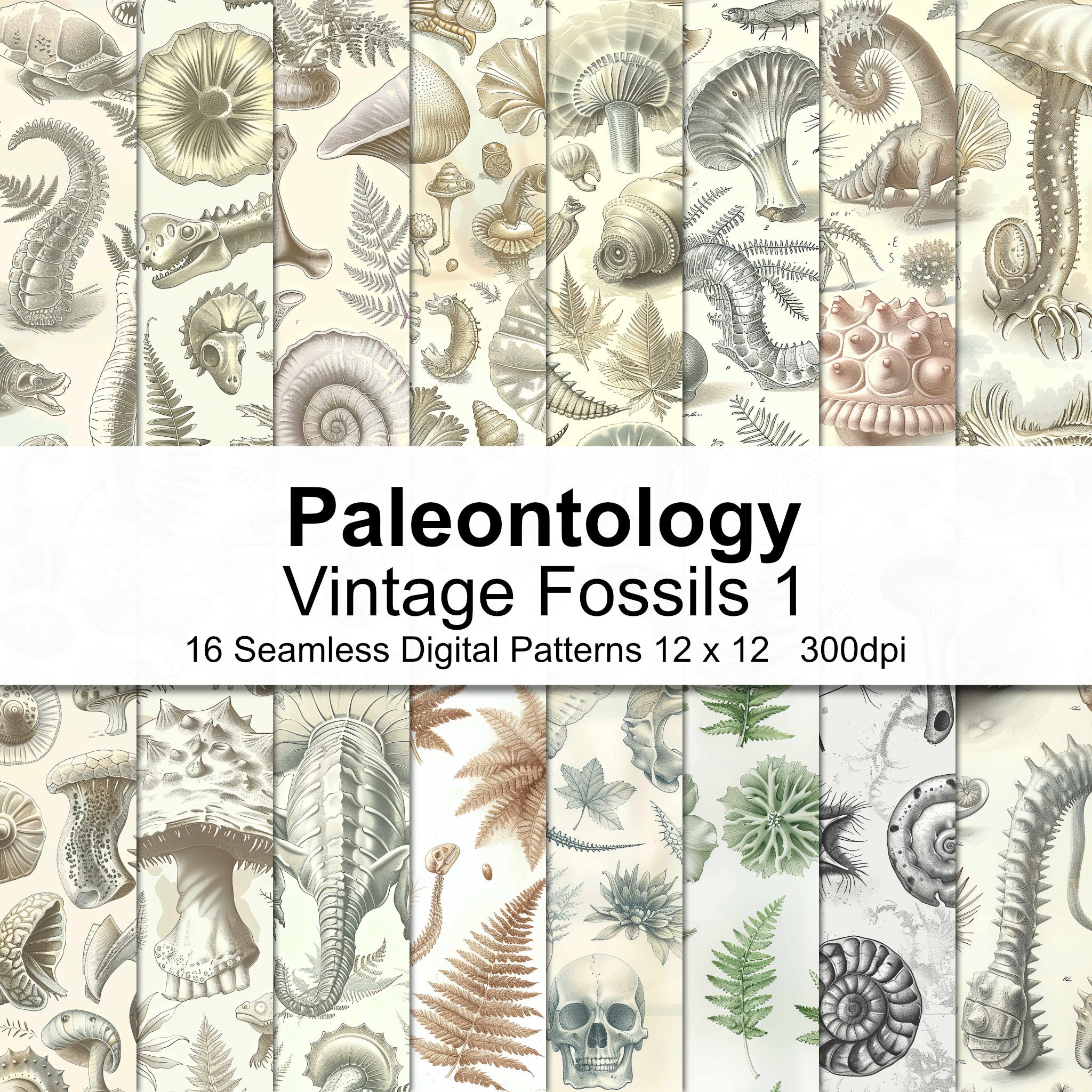 Vintage Fossils Digital Paper 1 - Etsy