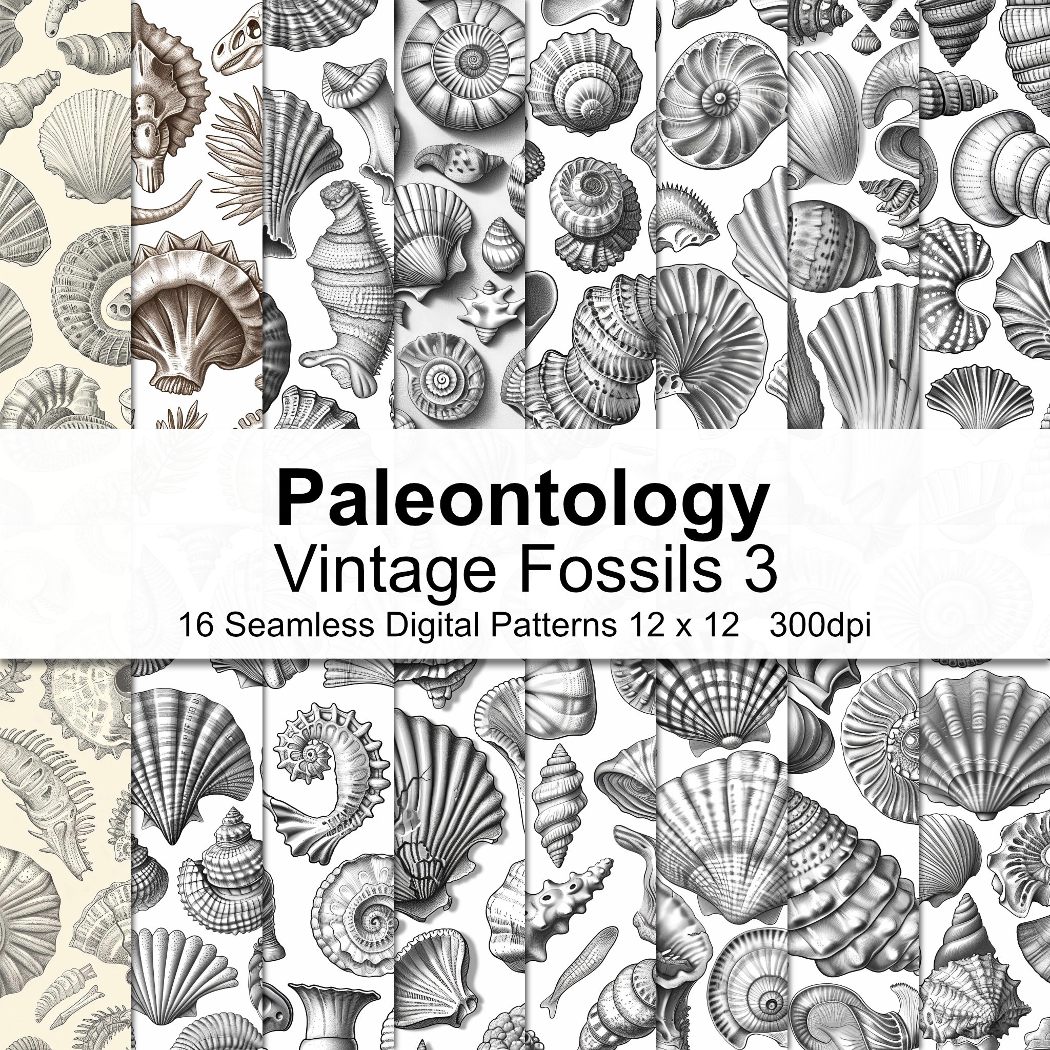 Vintage Fossils Digital Paper 3 - Etsy