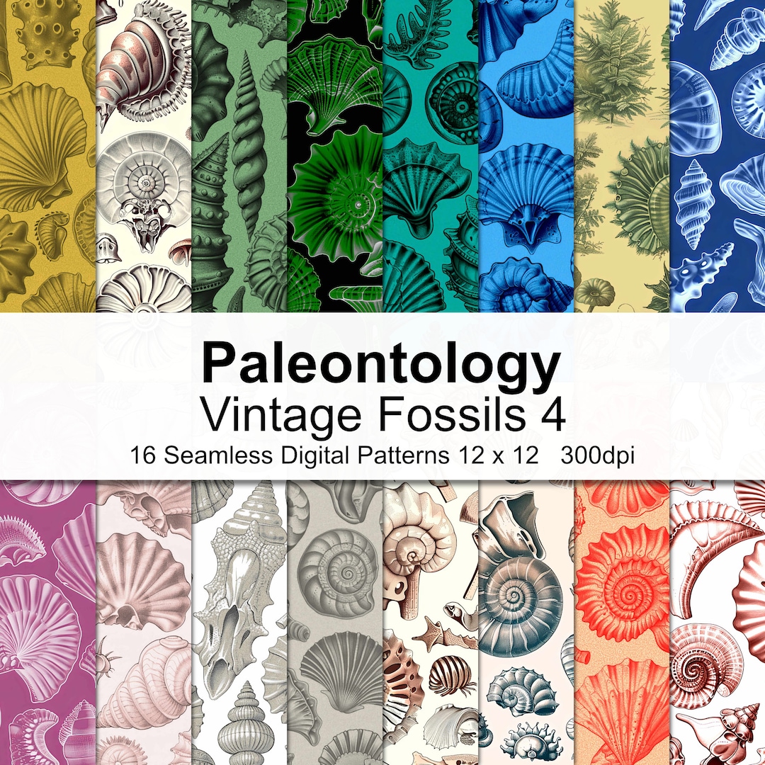 Vintage Fossils Digital Paper 4 - Etsy
