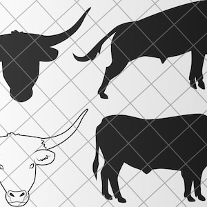 4 Bull Vector - SVG, PNG, File Digital Download