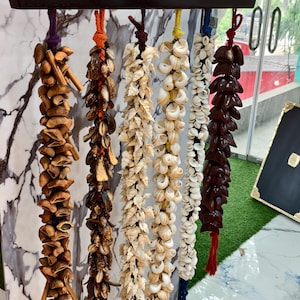 WATERRAMMELAAR (GHUNGROO)