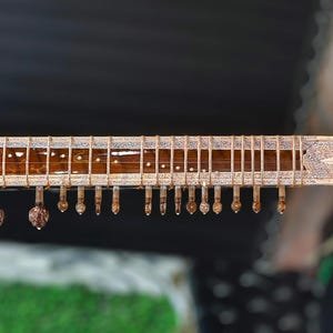 SITAR PROFESSIONAL RAVISHANKAR Style mit hochwertigem Hardcase