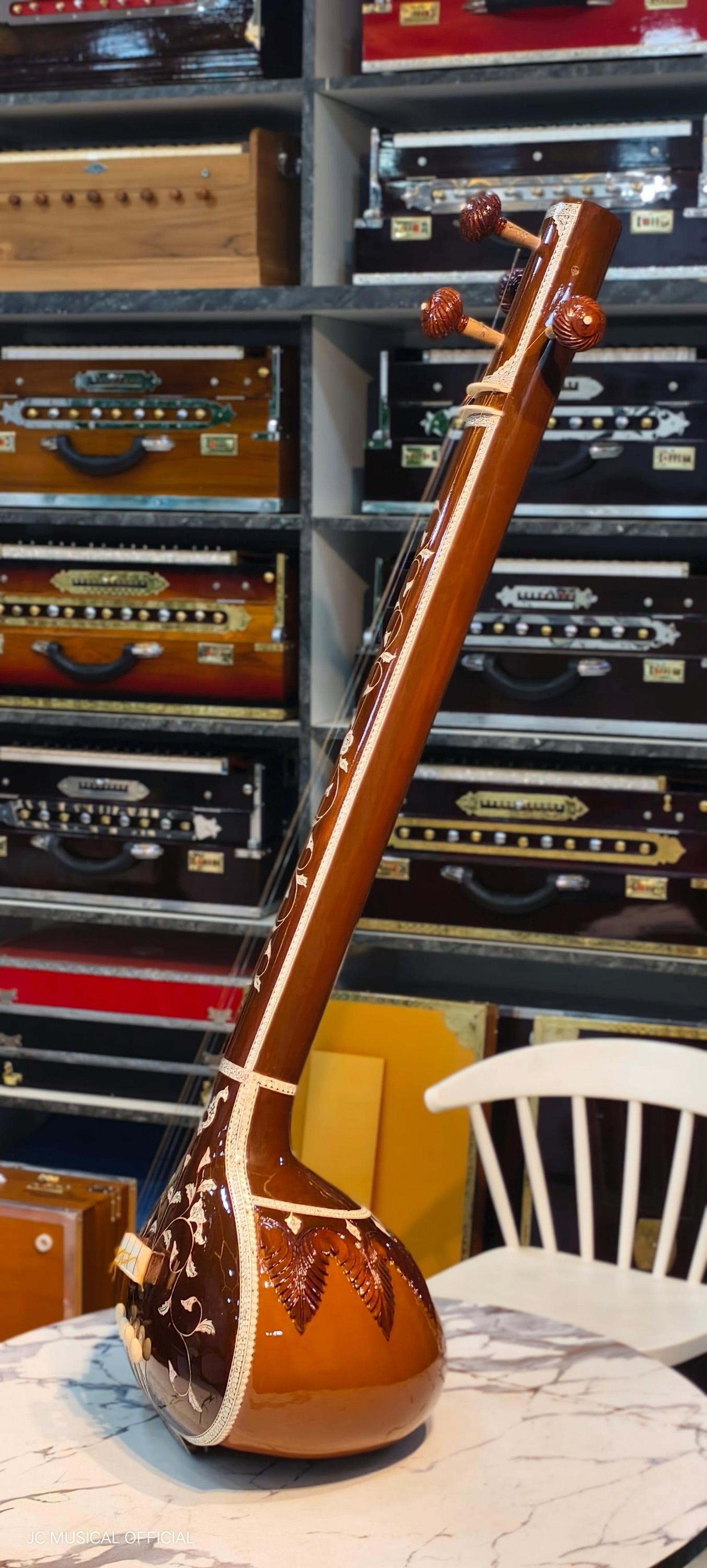 Professional MALE TANPURA With Hard Case - Etsy