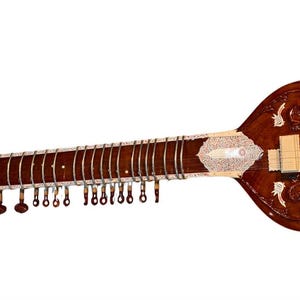 TRAVEL SITAR ELECTRIC Professioneel