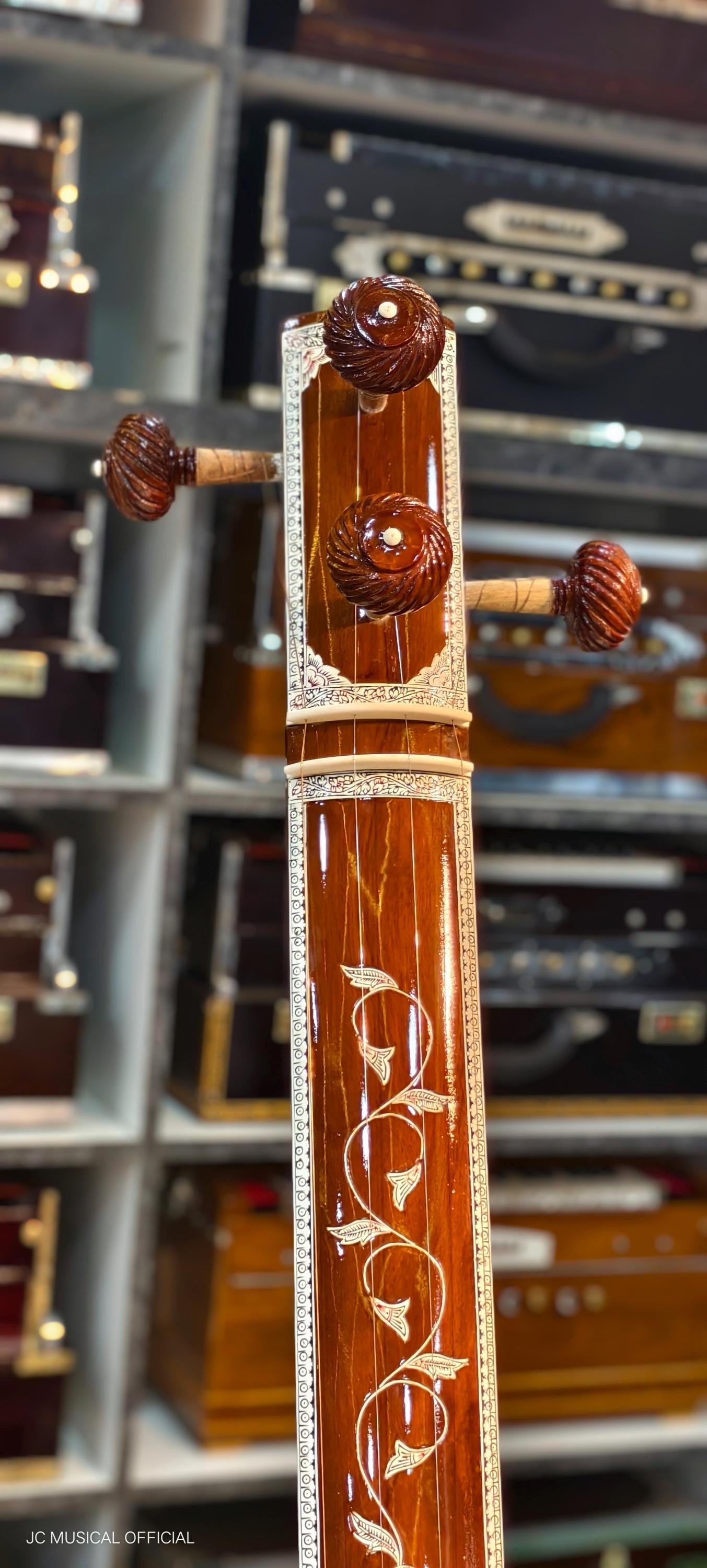 Professional MALE TANPURA With Hard Case - Etsy