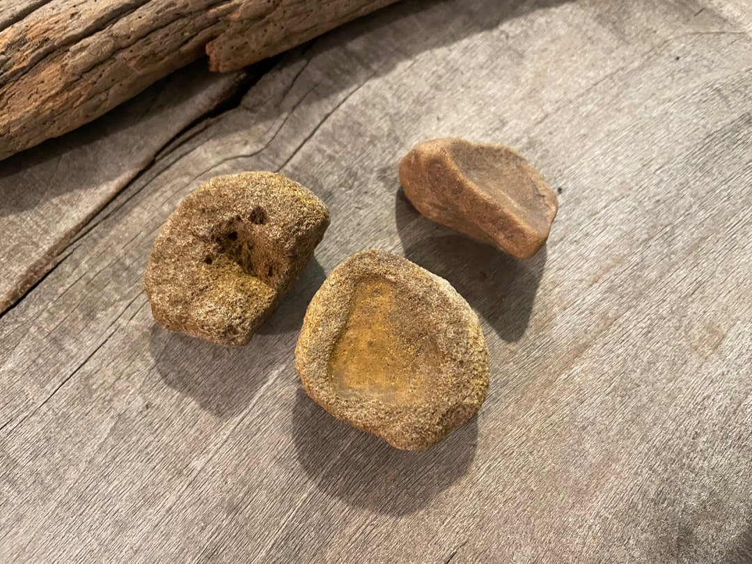 Native American Paint Pot at Stacy Lee blog