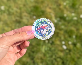Briar U - Hawks Logo Holographic Sticker - Off Campus