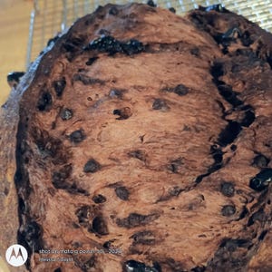 Double Chocolate Sourdough Artisan Bread