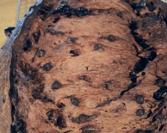 Double Chocolate Sourdough Artisan Bread