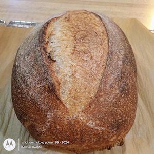 Sourdough Whole Wheat Batard