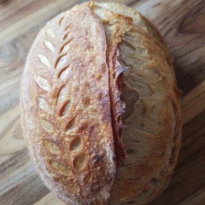 Sourdough Batard Traditional