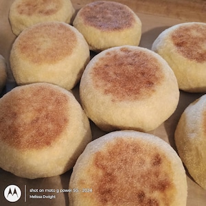 May include: A collection of round, golden-brown English muffins with a lightly toasted, textured surface. Each muffin features a pale, soft side and a browned top, arranged in a group. The text "shot on moto g power 5G - 2024 Melissa Dwight" is visible.