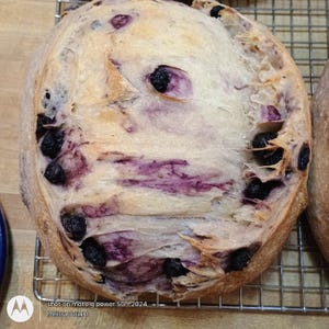 Blueberry Lemon Sourdough Batard