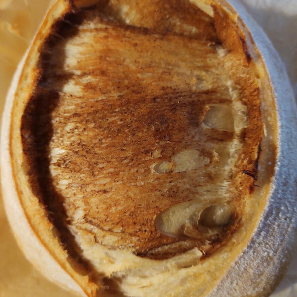 Brown Sugar Cinnamon Swirl Sourdough Batard